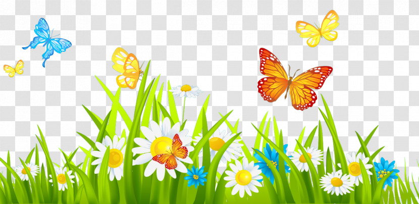 Butterfly Natural Landscape Meadow Spring Grass Transparent PNG