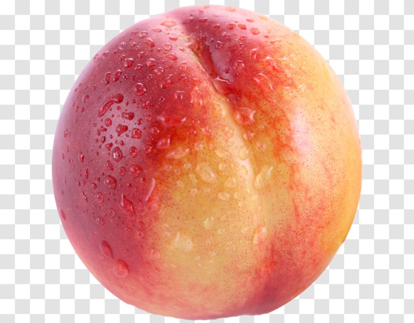 Nectarine Clip Art - Fruit - Transparent Picture Transparent PNG