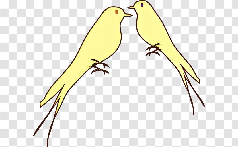 Bird Parrot - Finches - Wing Perching Transparent PNG
