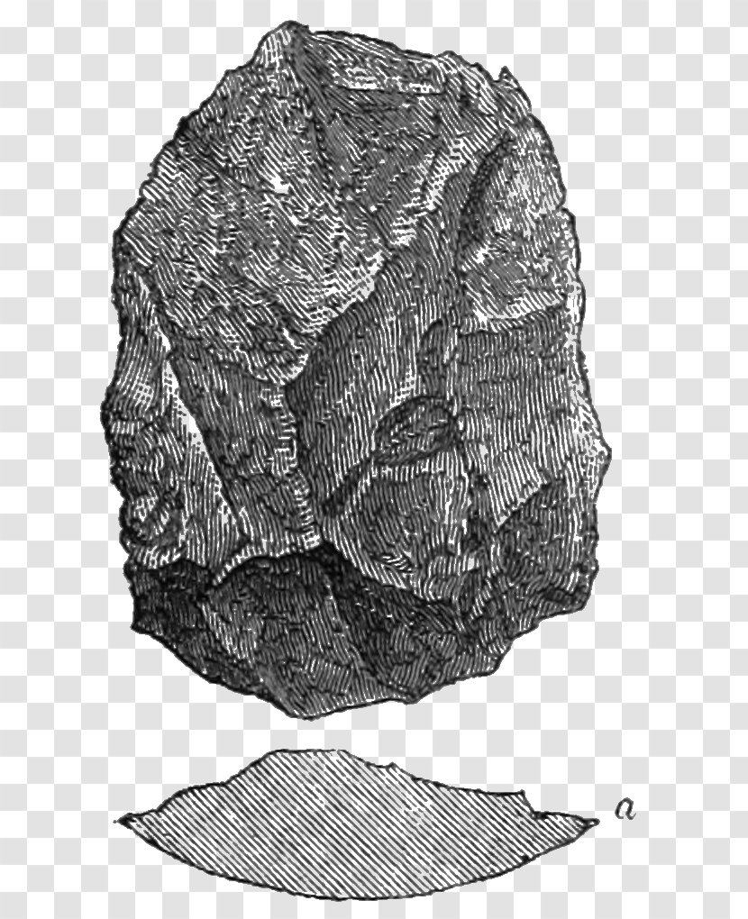 Monochrome Photography Leaf - Igneous Rock - Fig Transparent PNG