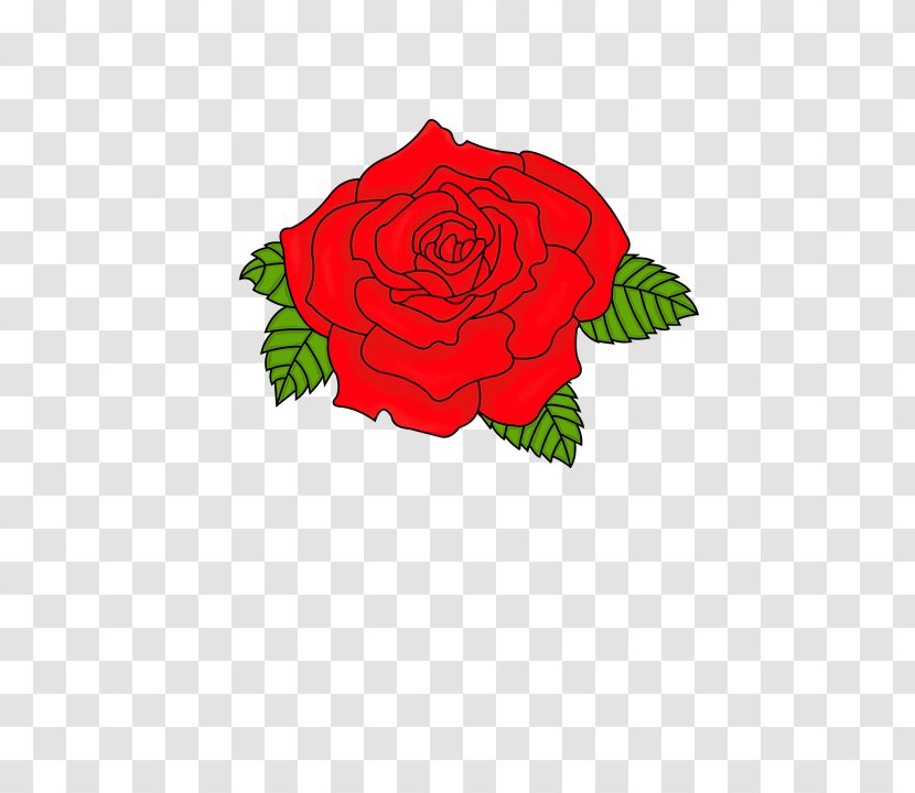 Clip Art Rose Image - Plant Transparent PNG