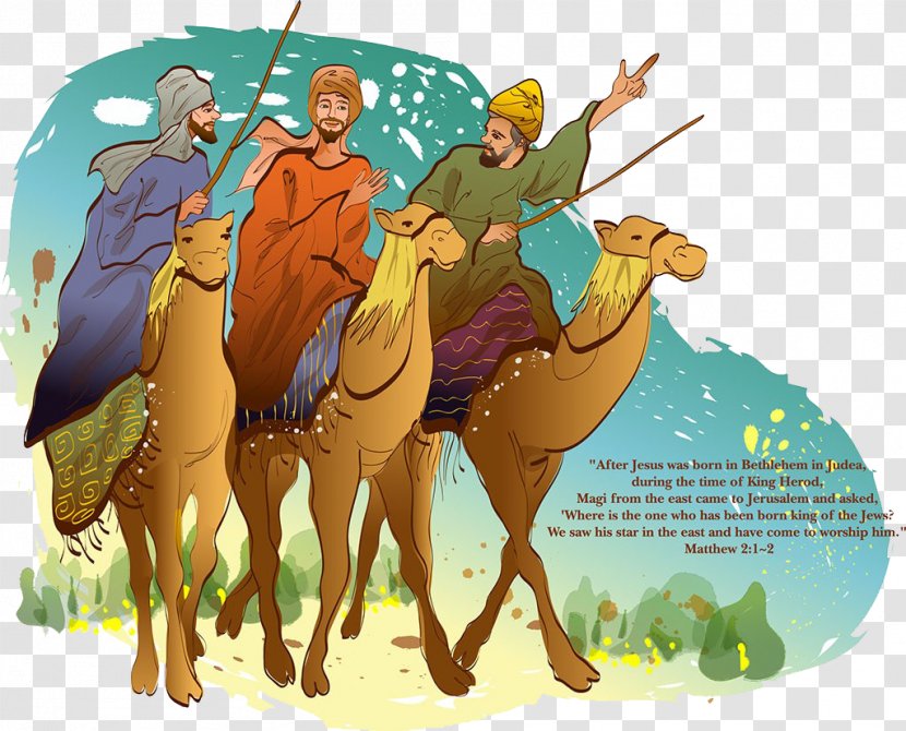 Camel Drawing - Livestock - A Man Transparent PNG