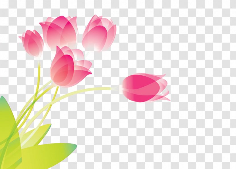 Tulip Flower Red - Rose Family - Tulips Transparent PNG