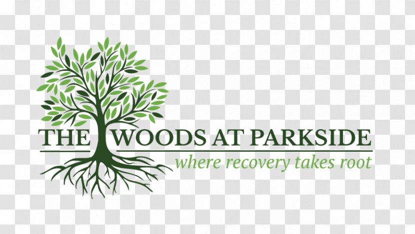 The Woods At Parkside Healing Environments Substance Dependence Hospital Disease - Into Review Transparent PNG