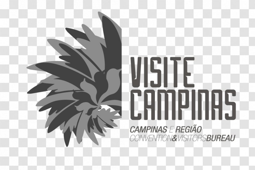 Logo Radisson RED Campinas Font Brand Desktop Wallpaper - White - Propaganda Transparent PNG