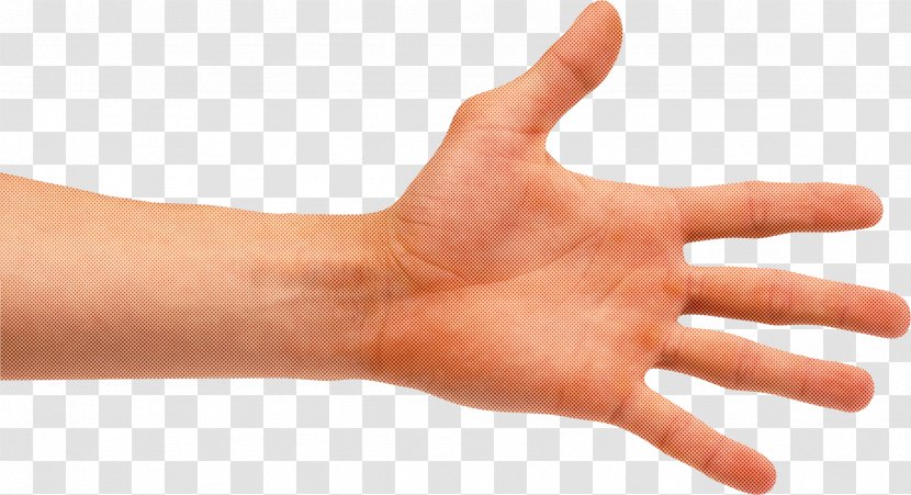 Finger Hand Skin Thumb Gesture - Wrist - Nail Sign Language Transparent PNG