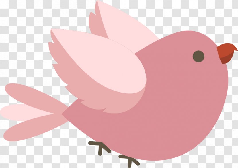 Clip Art Illustration Beak Pink M Snout - Wing - Arvore Rosa Transparent PNG