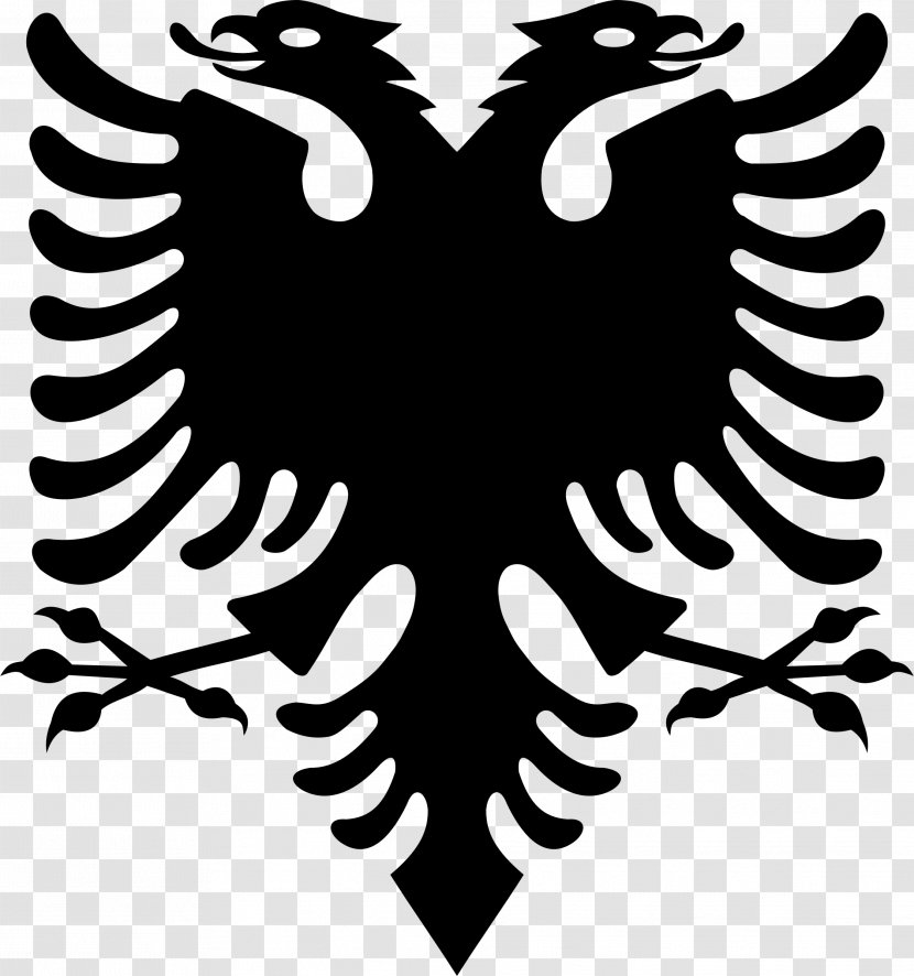 Flag Of Albania Double-headed Eagle Albanian Declaration Independence - Wing Transparent PNG