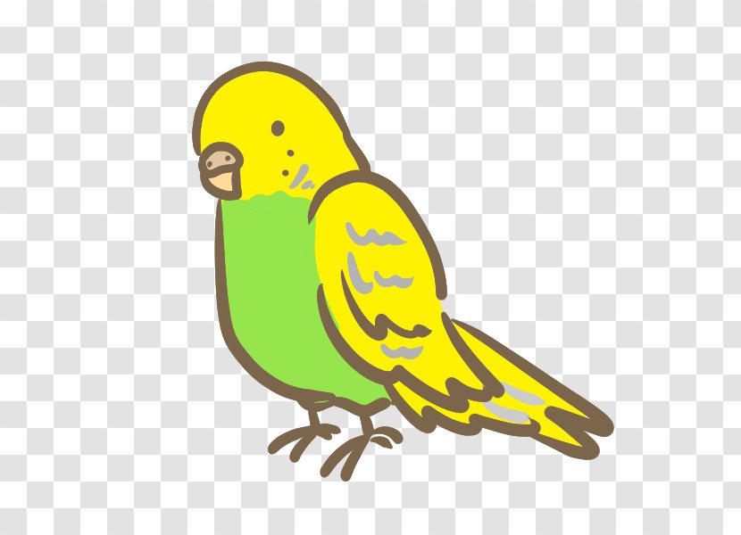 Budgerigar Macaw Bird Parakeet Clip Art - Perico Transparent PNG