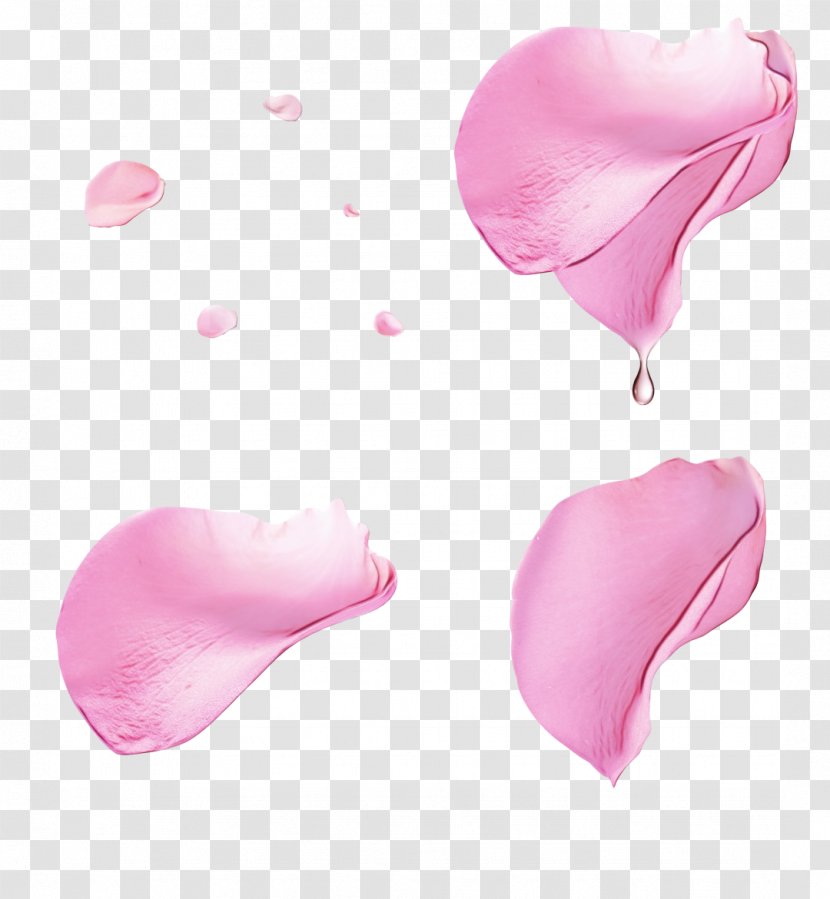 Pink Petal Flower Plant Heart - Herbaceous Transparent PNG