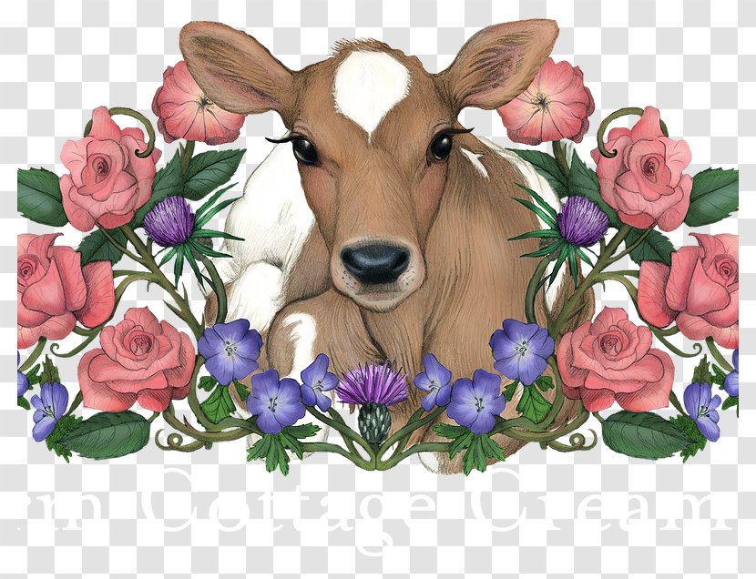 Nigerian Dwarf Goat West African Floral Design Pygmy Cattle - Milk Transparent PNG