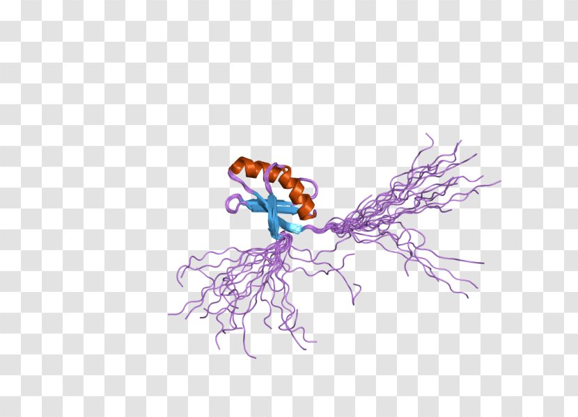 Copper Chaperone For Superoxide Dismutase Metalloprotein - Violet - Purple Transparent PNG