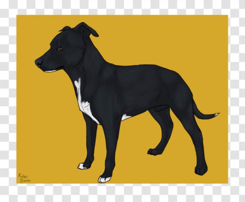 Lurcher Italian Greyhound Dog Breed Puppy - Mammal Transparent PNG