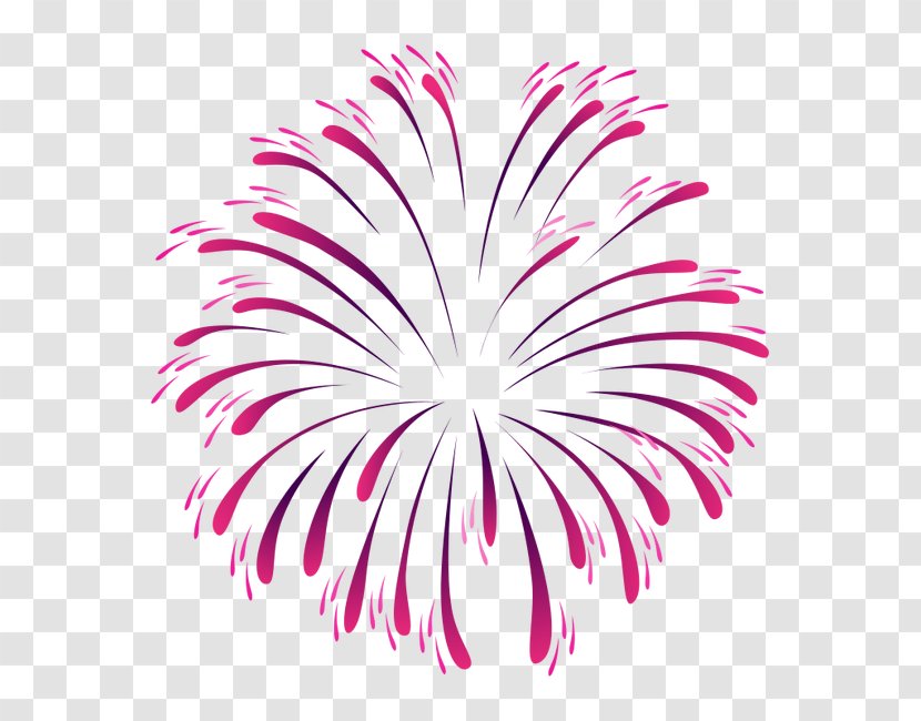 Fireworks Clip Art - Petal - Fireworks,Fireworks Transparent PNG