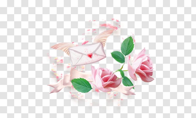 Garden Roses Cabbage Rose - Flower - Chers Transparent PNG