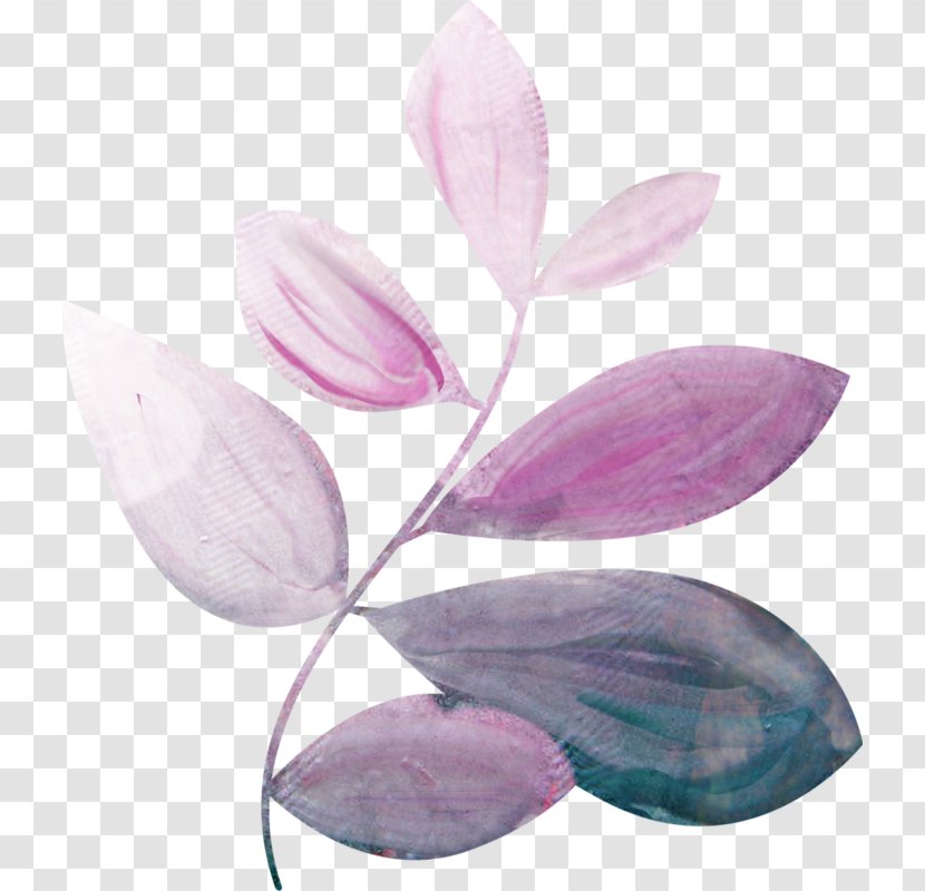 Petal Lilac - Flower Transparent PNG