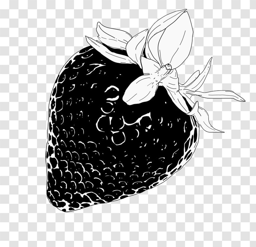 Black And White Auglis - Monochrome Photography - Hand-painted Strawberry Transparent PNG