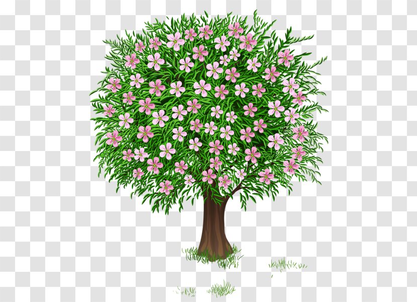 Tree Shrub Clip Art - Grass - Spring Transparent PNG