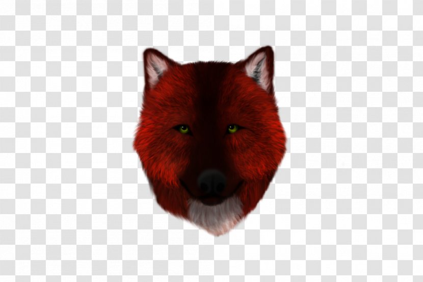 Red Fox Dog Canidae Snout - Crypt Transparent PNG