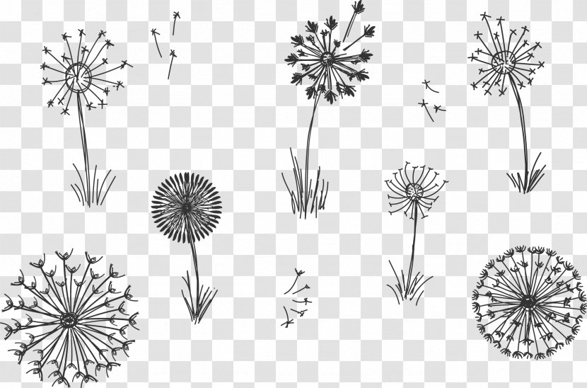 Common Dandelion Plant Euclidean Vector - Petal - Flowering Grass Hand Painted Flock Flying Transparent PNG