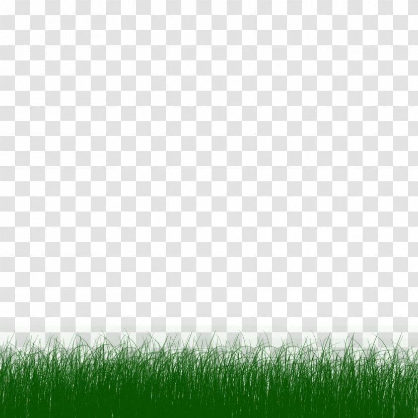 Animation Lawn Clip Art - Field - Colour Transparent PNG