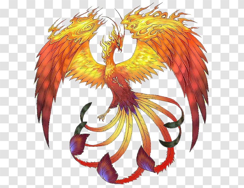 Legendary Creature Phoenix Mythology Folklore Transparent PNG