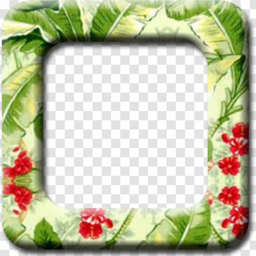 Picture Frames Drawing Clip Art - Flower Transparent PNG