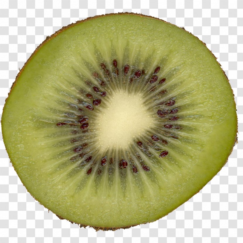 Kiwifruit Slice Melon - Pineapple - Kiwi Transparent PNG