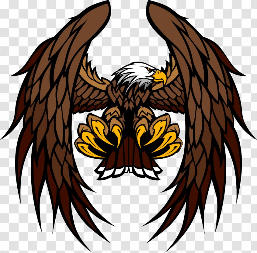 Bald Eagle Royalty-free Clip Art - Birds Printing Transparent PNG