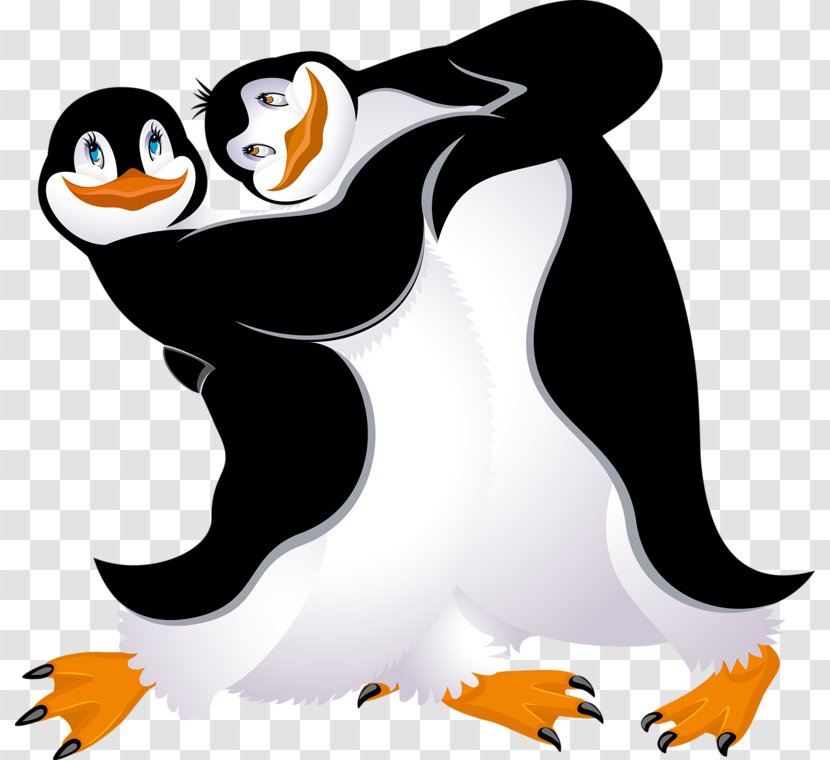 Penguin Bird Dance - Gentoo - Two Penguins Transparent PNG