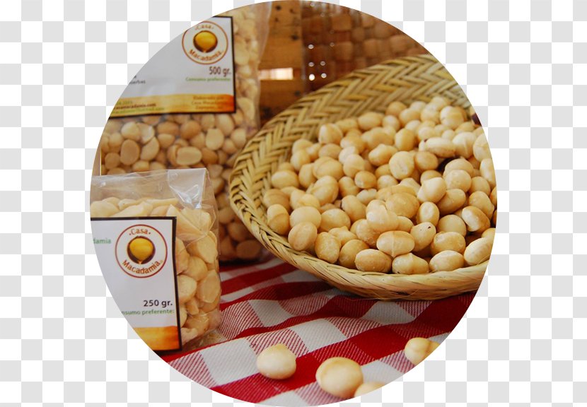 Macadamia Ternifolia Vegetarian Cuisine Nut Oil - Bean Transparent PNG
