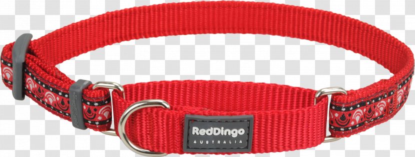 Dingo German Shepherd Dog Collar Martingale - Dring - Red Transparent PNG