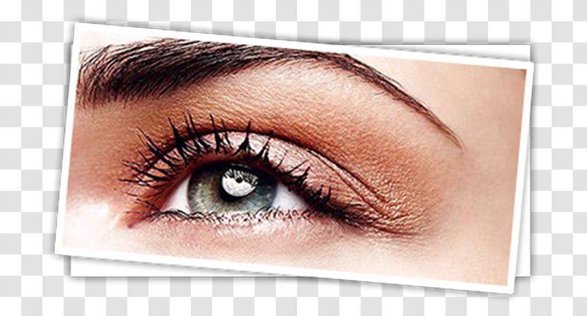 Beauty Parlour Solisa Tanning & Lashes Eyebrow Threading Eyelash - Cartoon - Extension Transparent PNG