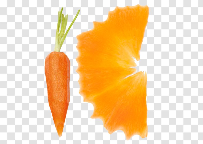 Baby Carrot Gemüseschneider Citrus × Sinensis Vegetable Transparent PNG