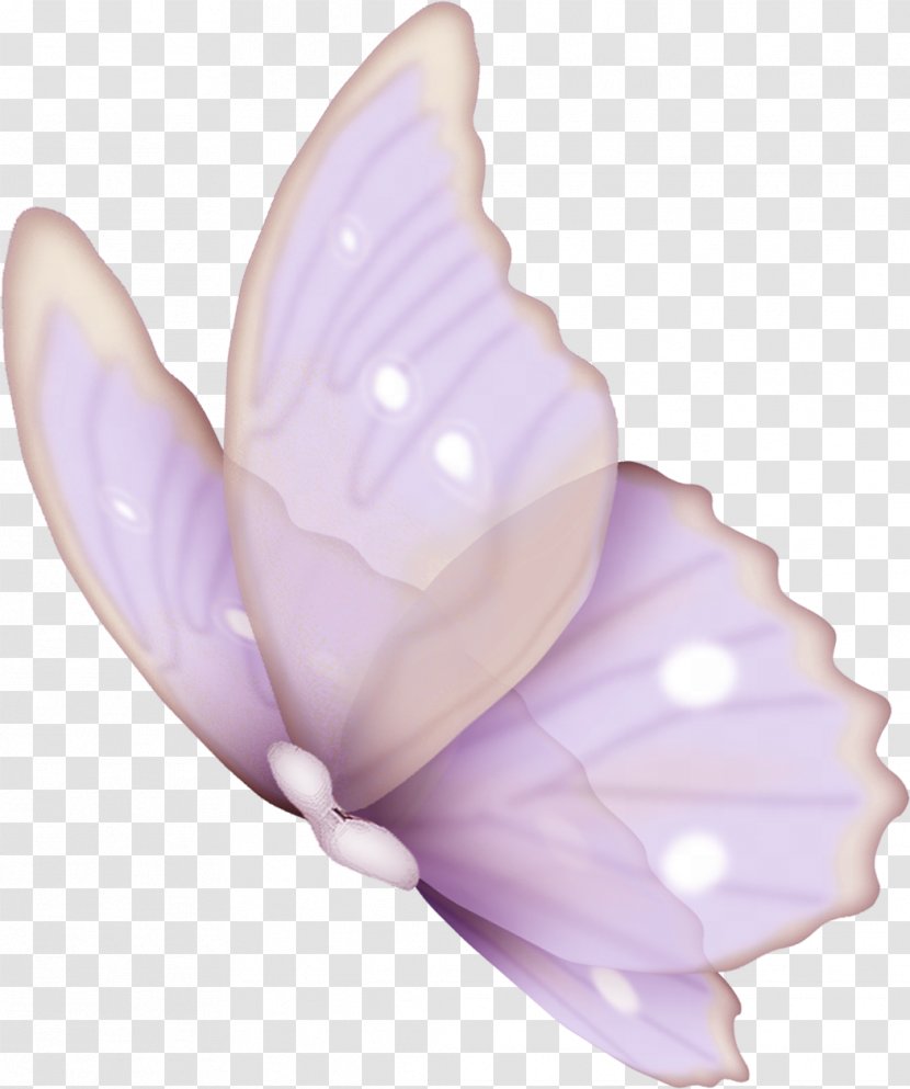 Butterfly Clip Art - Purple - Big Pink Transparent PNG