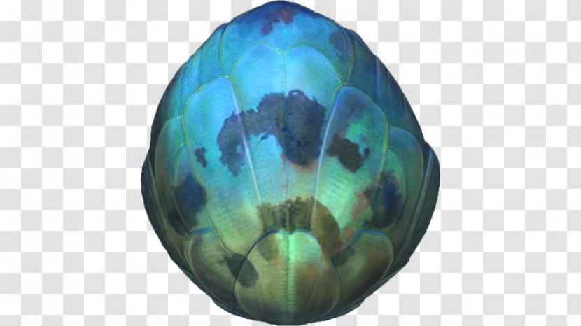 Subnautica Eggshell Food Kelp Forest - Sphere - Eggs Transparent PNG