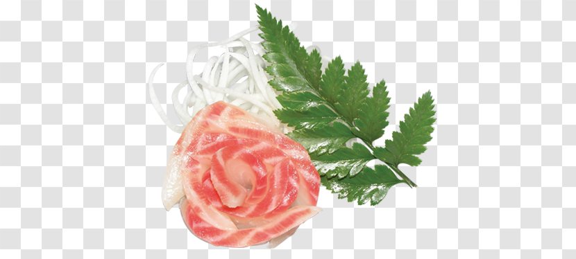 Garden Roses Sashimi Sushi Cut Flowers Centifolia Transparent PNG