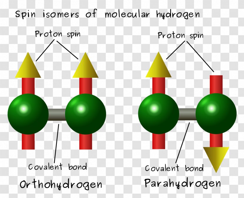 Spin Isomers Of Hydrogen Molecule - Chemical Molecules Transparent PNG