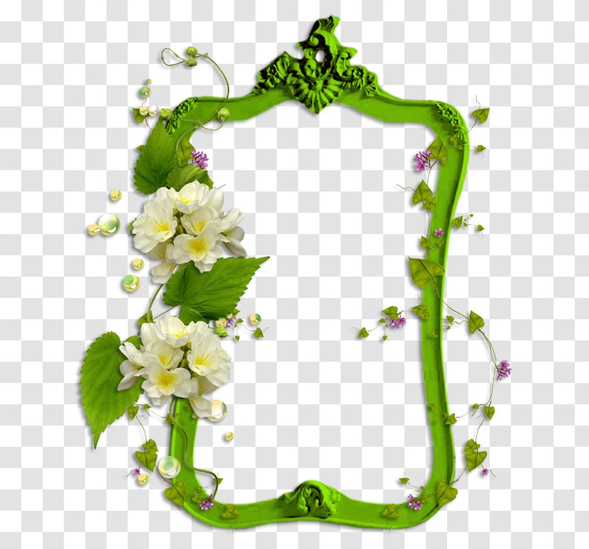 Picture Frames Photography Image Clip Art - Hosting Service - Green Frame Transparent PNG