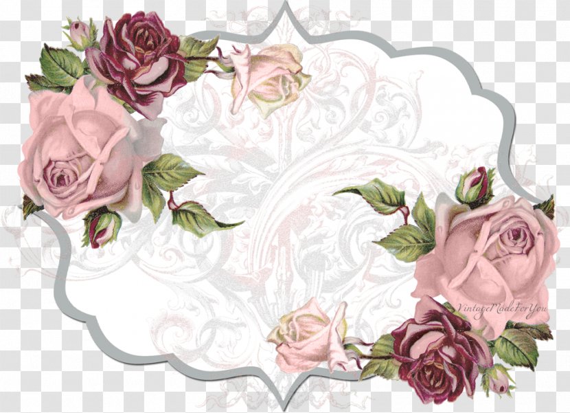 Garden Roses Blog Desktop Wallpaper Clip Art - Flower Arranging - Darling Transparent PNG
