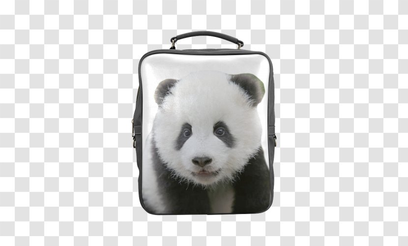 Giant Panda Red Samsung Galaxy S8 Bag Backpack - Handbag - Snout Transparent PNG