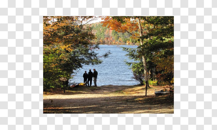 Shore State Park Landscape Nature - Grass Transparent PNG