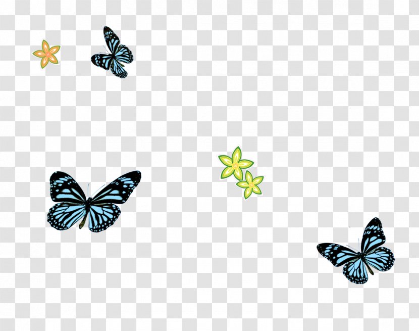Butterfly Blue - Color - Hand-painted Transparent PNG