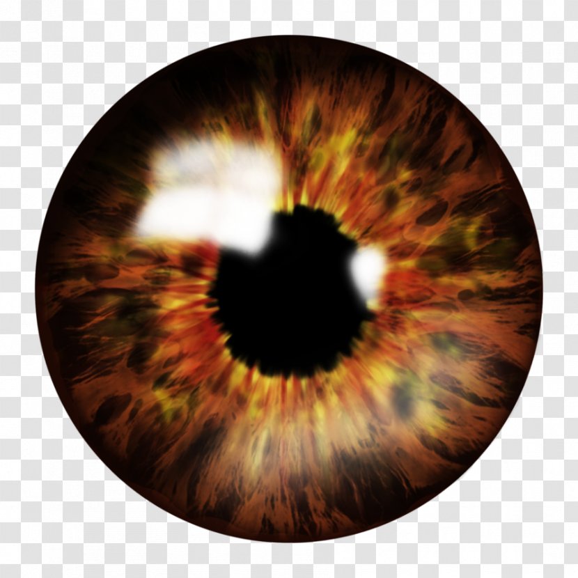 Eye Icon - Frame Transparent PNG
