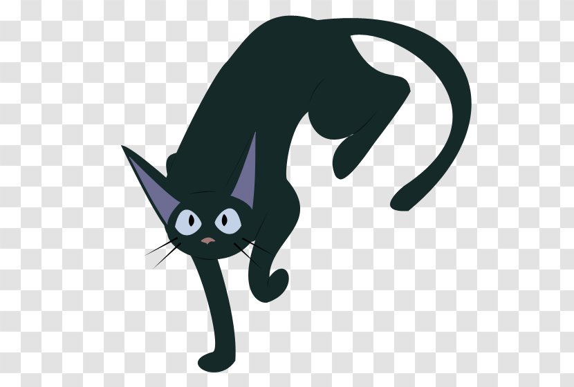 Black Cat Jiji Kitten YouTube - Like Mammal Transparent PNG