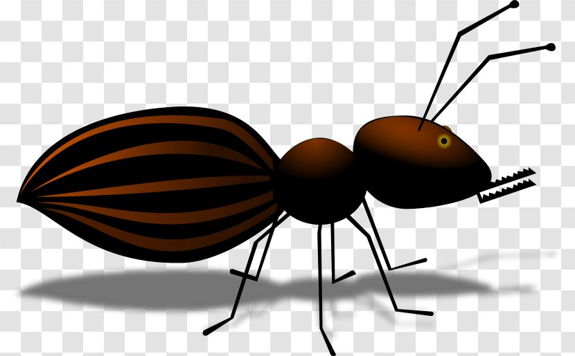 Ant Insect Cartoon Clip Art - Queen - Line Transparent PNG