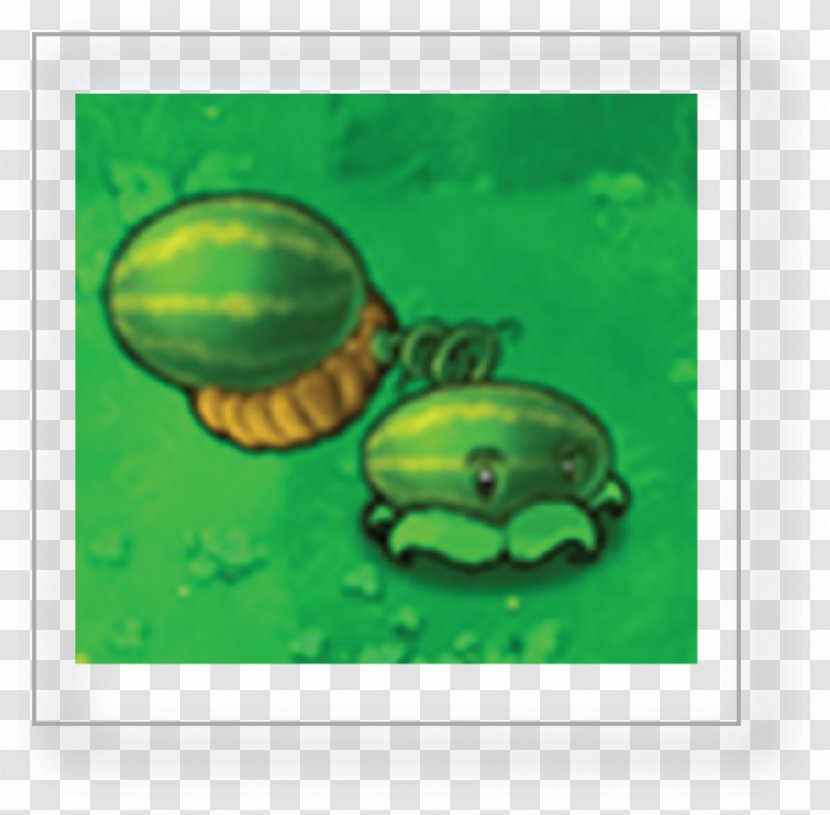 Plants Vs. Zombies Heroes Game - Frame - Watermelon Plant Transparent PNG