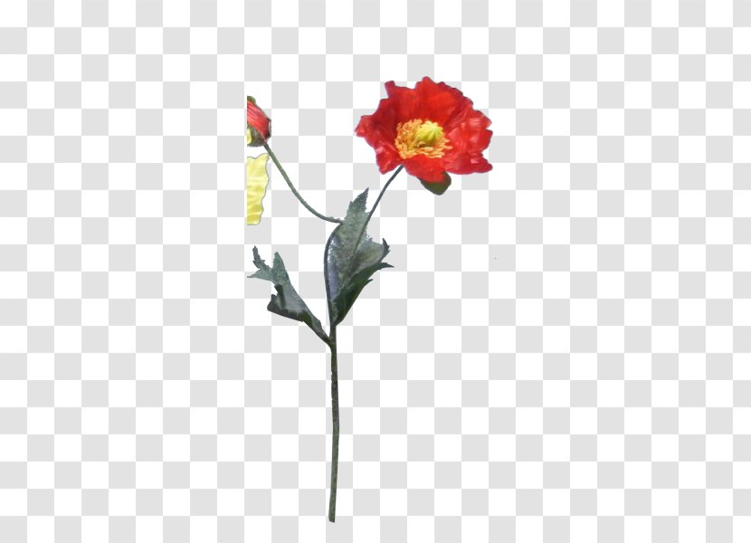 Rose Family Cut Flowers Bud Plant Stem - Faux Red Berry Branches Transparent PNG