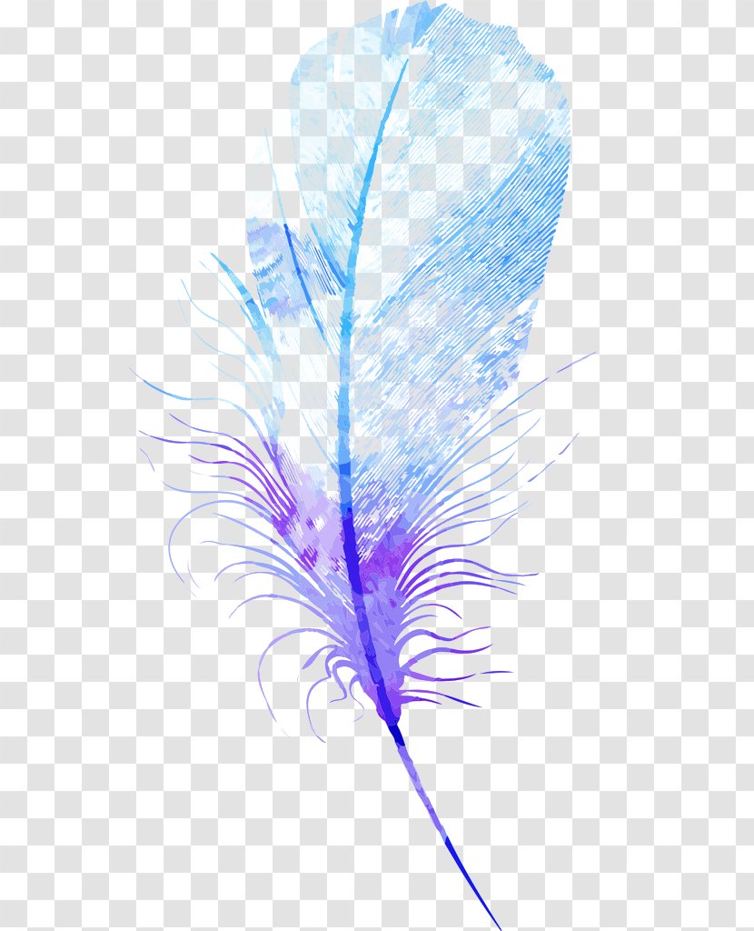 Feather Euclidean Vector - Violet Transparent PNG
