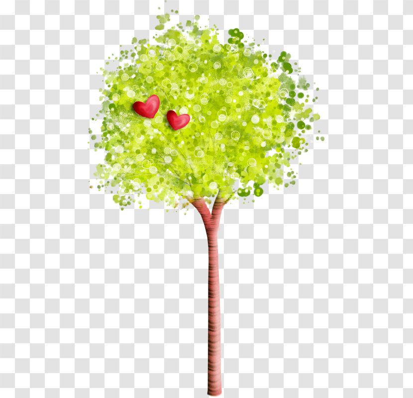 Tree - Grass - Plant Stem Transparent PNG